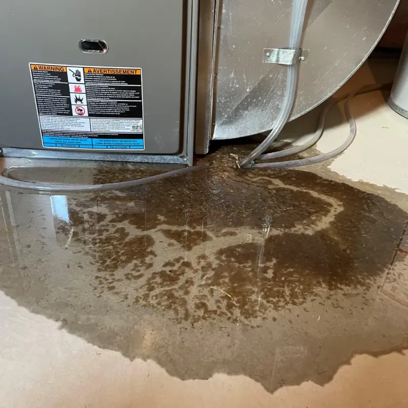 Appliance Leak Cleanup in Leake County, MS